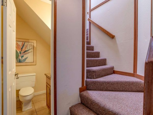 Kahana Condo 980165