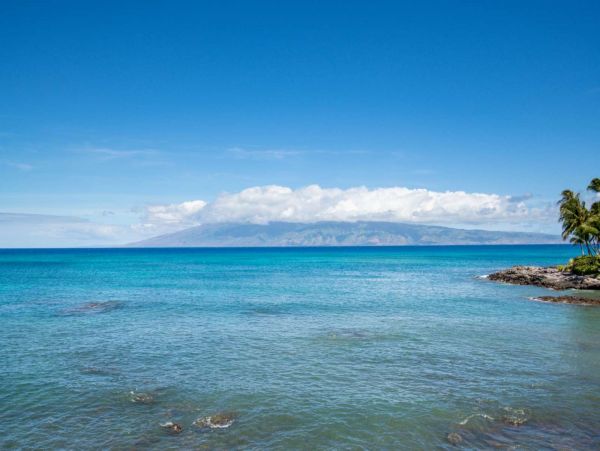 Kahana Condo 980165