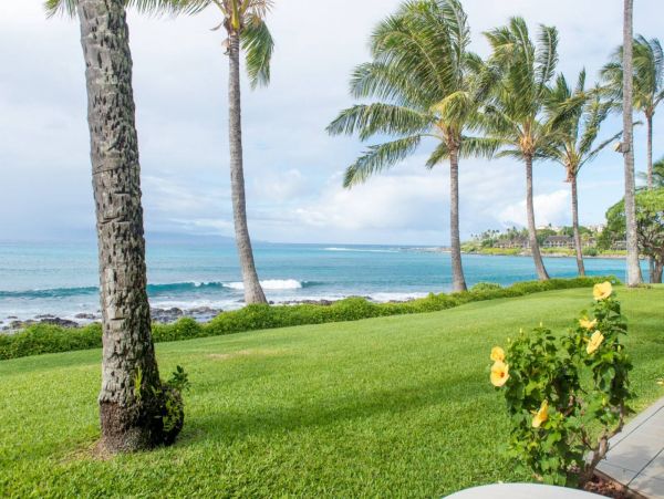 Kahana Condo 980168
