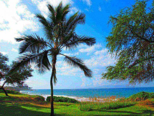 Kihei Condo 980169