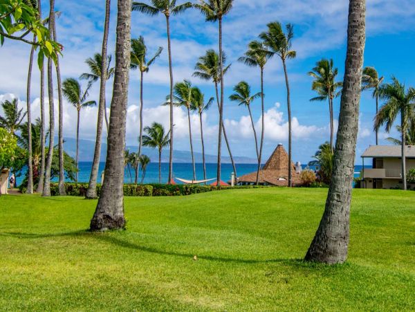 Kahana Condo 980172