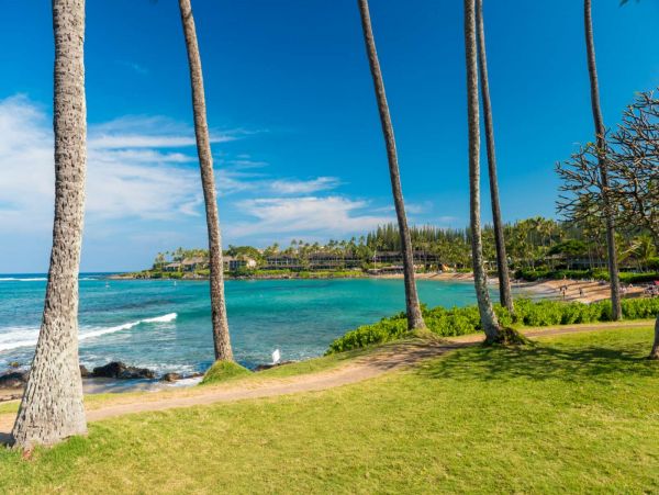 Kahana Condo 980172