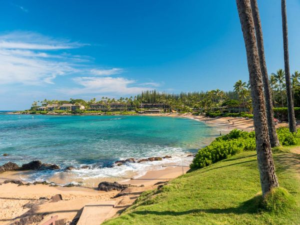 Kahana Condo 980174