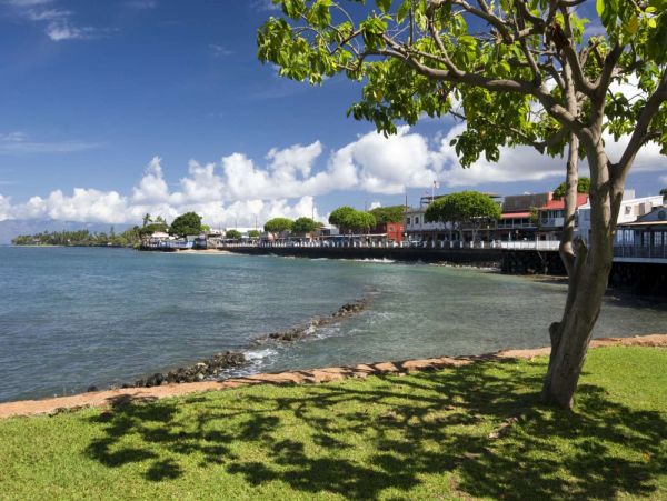 Kahana Condo 980174