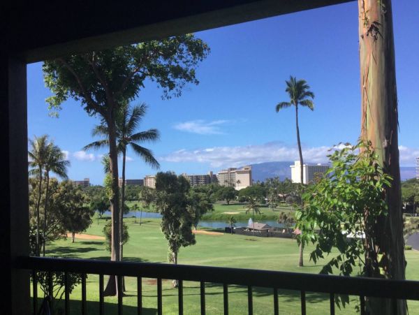Kahana Condo 980178