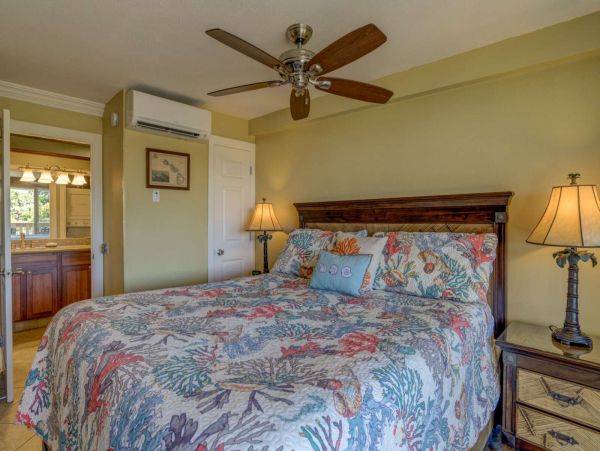Kahana Condo 980182