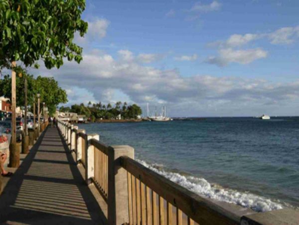 Lahaina Condo 980183