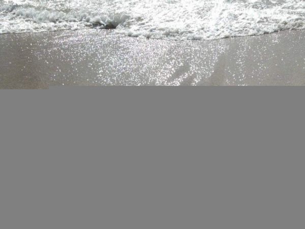 Lahaina Condo 980183