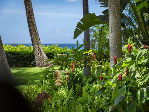 Kaanapali Condo 980187