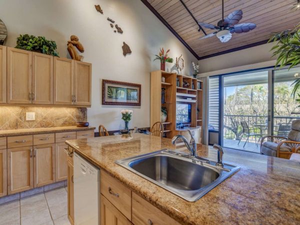 Kahana Condo 980188