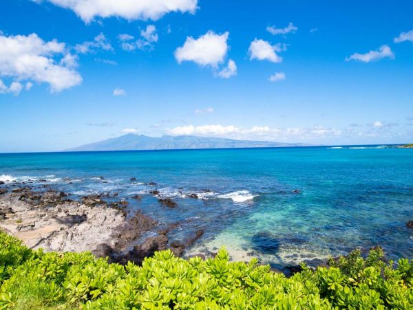 Kahana Condo 980188