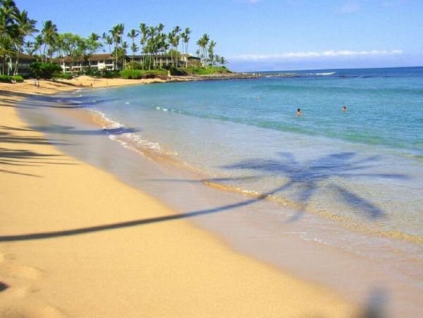 Kahana Condo 980188