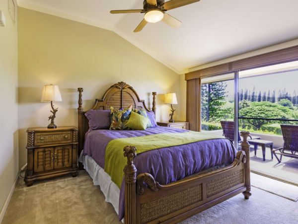Kapalua Condo 980190