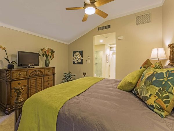 Kapalua Condo 980190