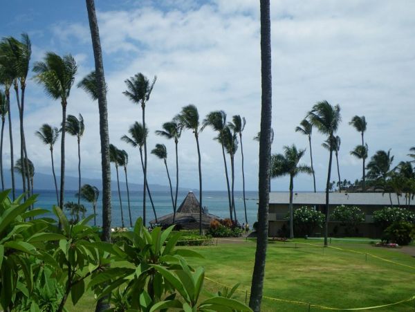 Kahana Condo 980191