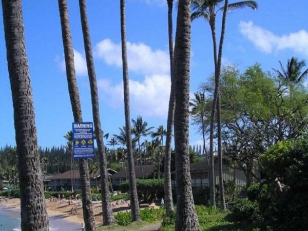 Kahana Condo 980191