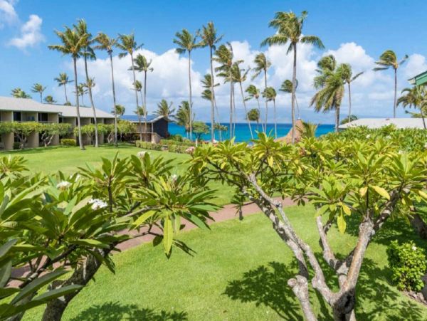 Kahana Condo 980198