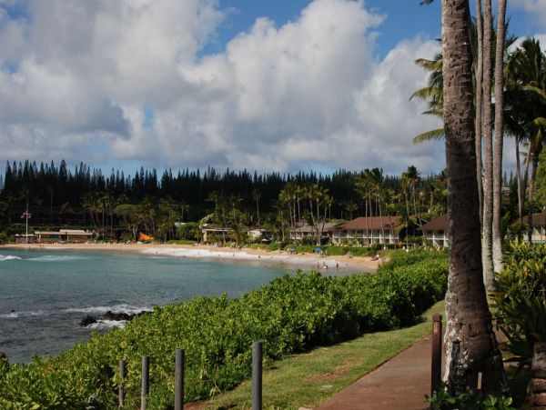 Kahana Condo 980198