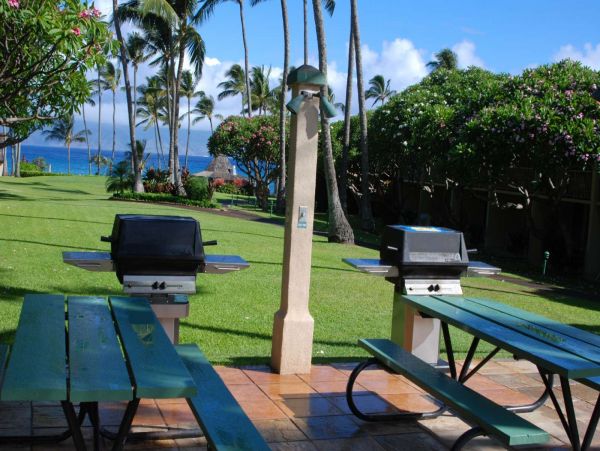 Kahana Condo 980198