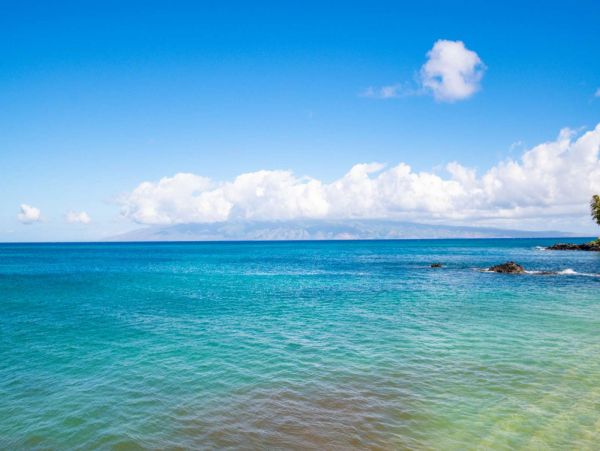 Kahana Condo 980204