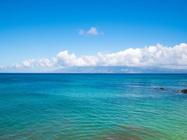 Kahana Condo 980204