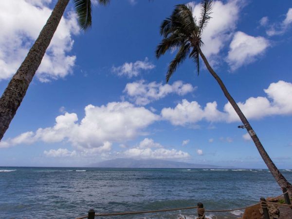 Kahana Condo 980205