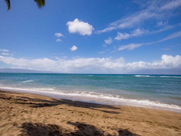Kahana Condo 980205
