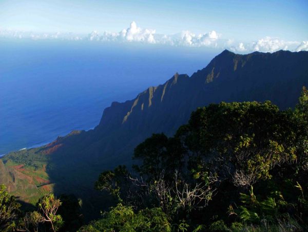 Kahana Condo 980218