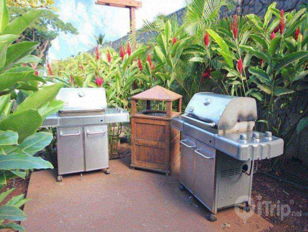 Lahaina Condo 980223