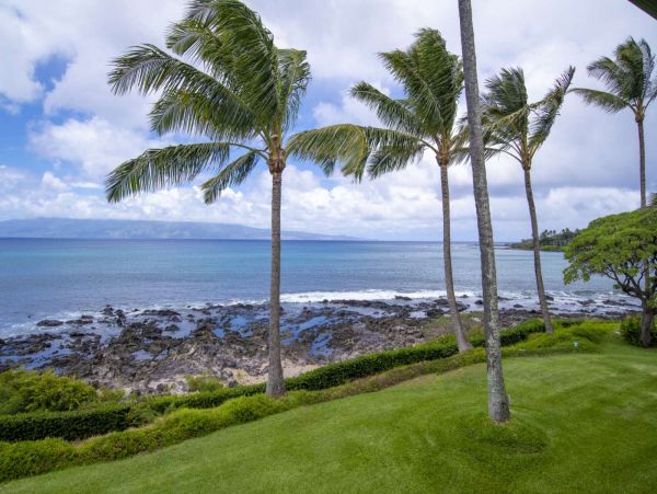 Kahana Condo 980224