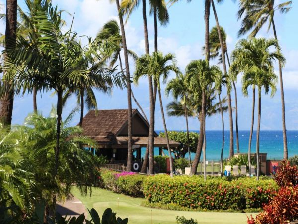 Kahana Condo 980226