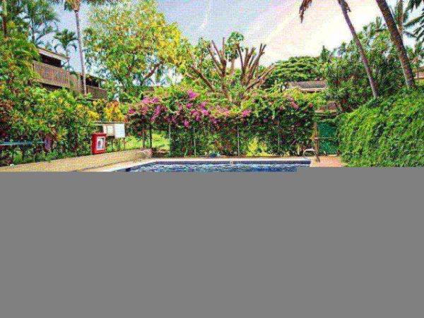 Kahana Condo 980228