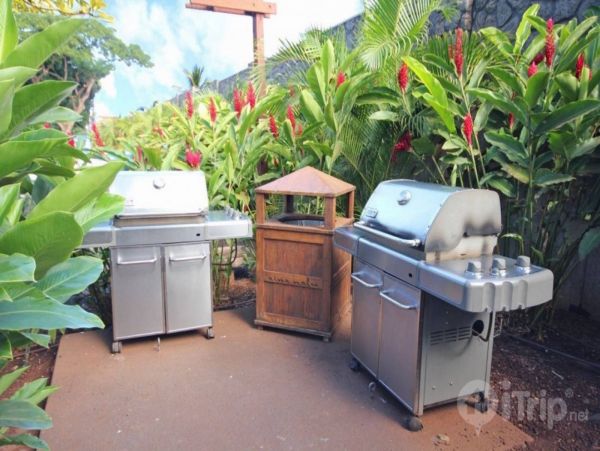 Lahaina Condo 980231