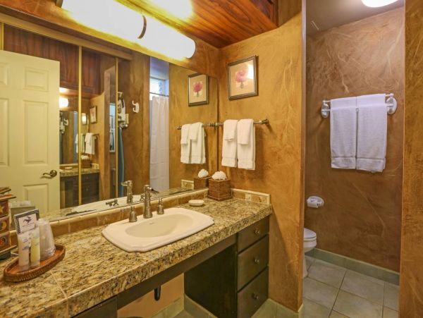 Kahana Condo 980233