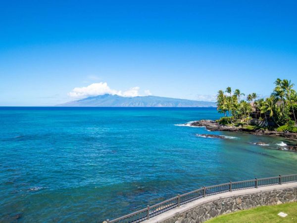 Kahana Condo 980235