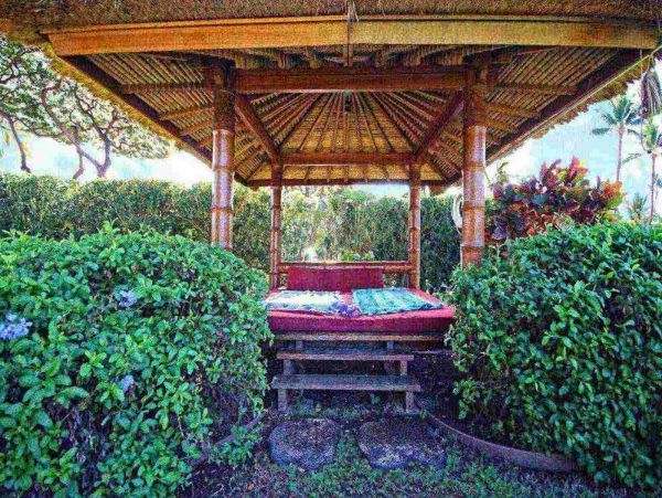 Lahaina Condo 980236
