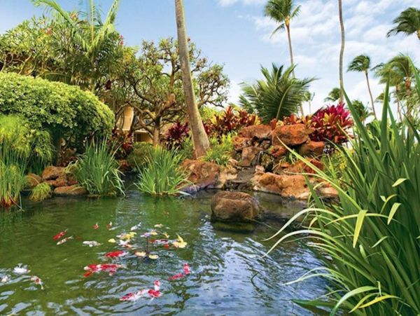 Kahana Condo 980237