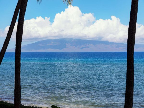 Kaanapali Condo 980238