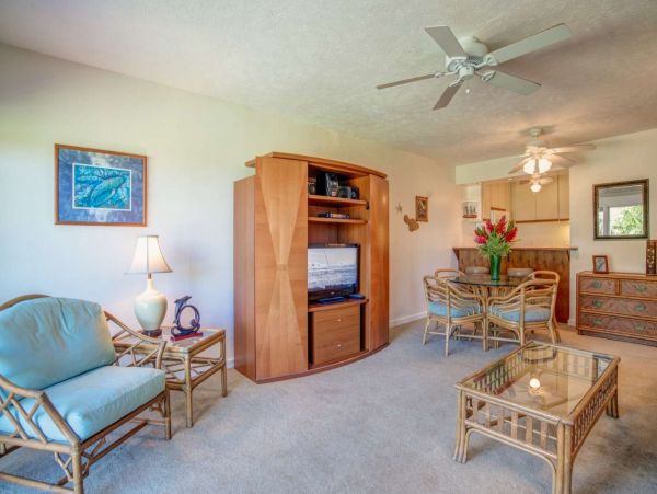Kahana Condo 980239