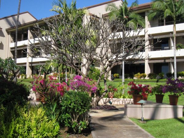 Kaanapali Condo 980242