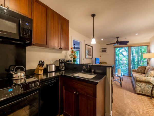 Lahaina Condo 980243