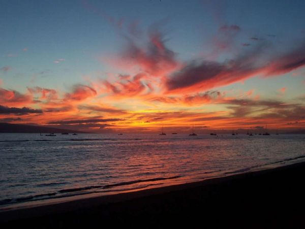 Lahaina Condo 980243