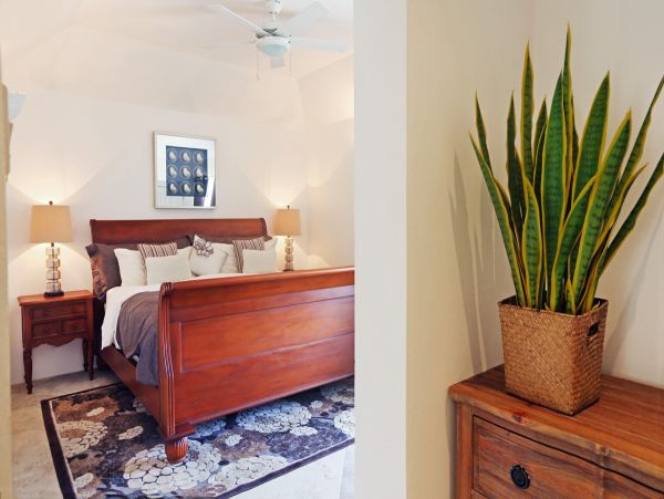 St. Lucia Home 980301