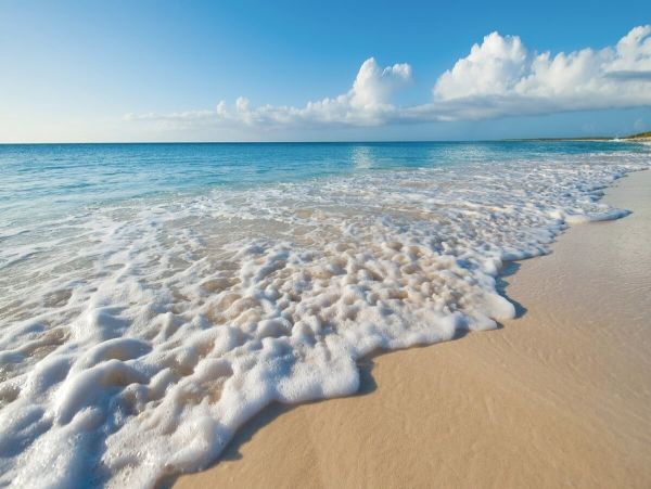Turks And Caicos Condo 980443