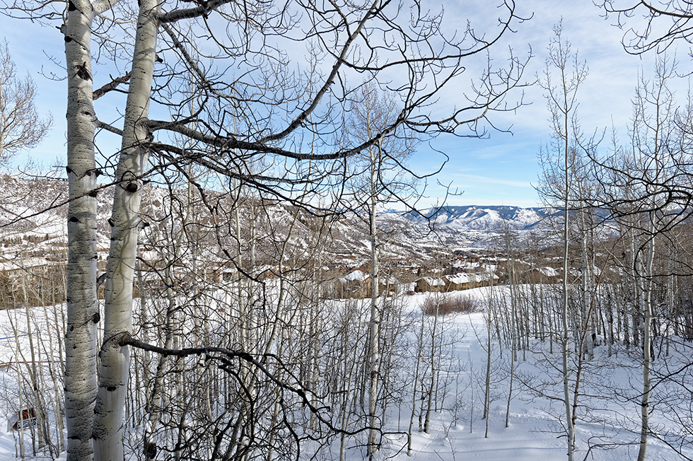 Snowmass Home 980483