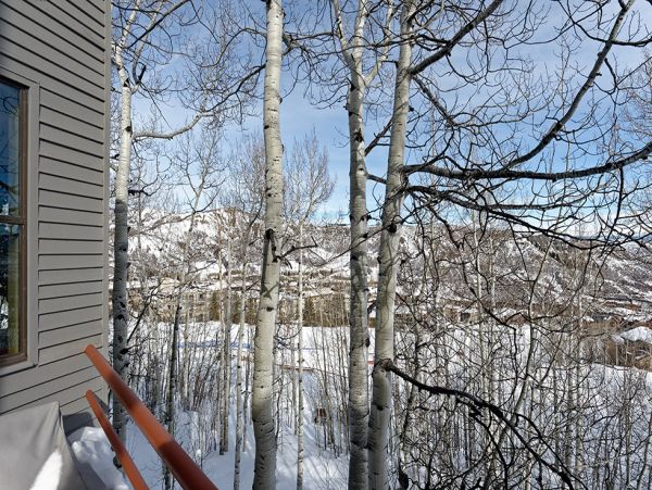 Snowmass Home 980483