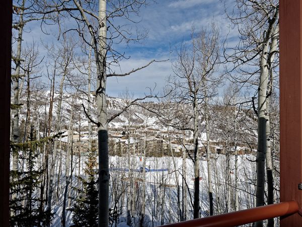 Snowmass Home 980483