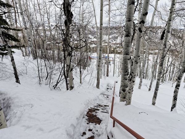 Snowmass Home 980483
