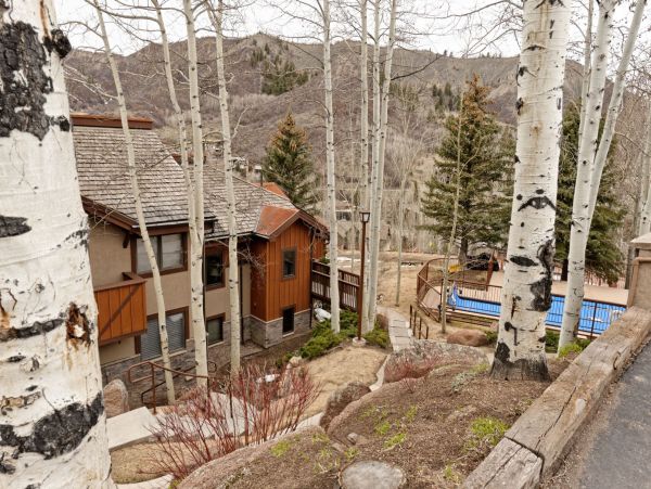 Snowmass Condo 980486