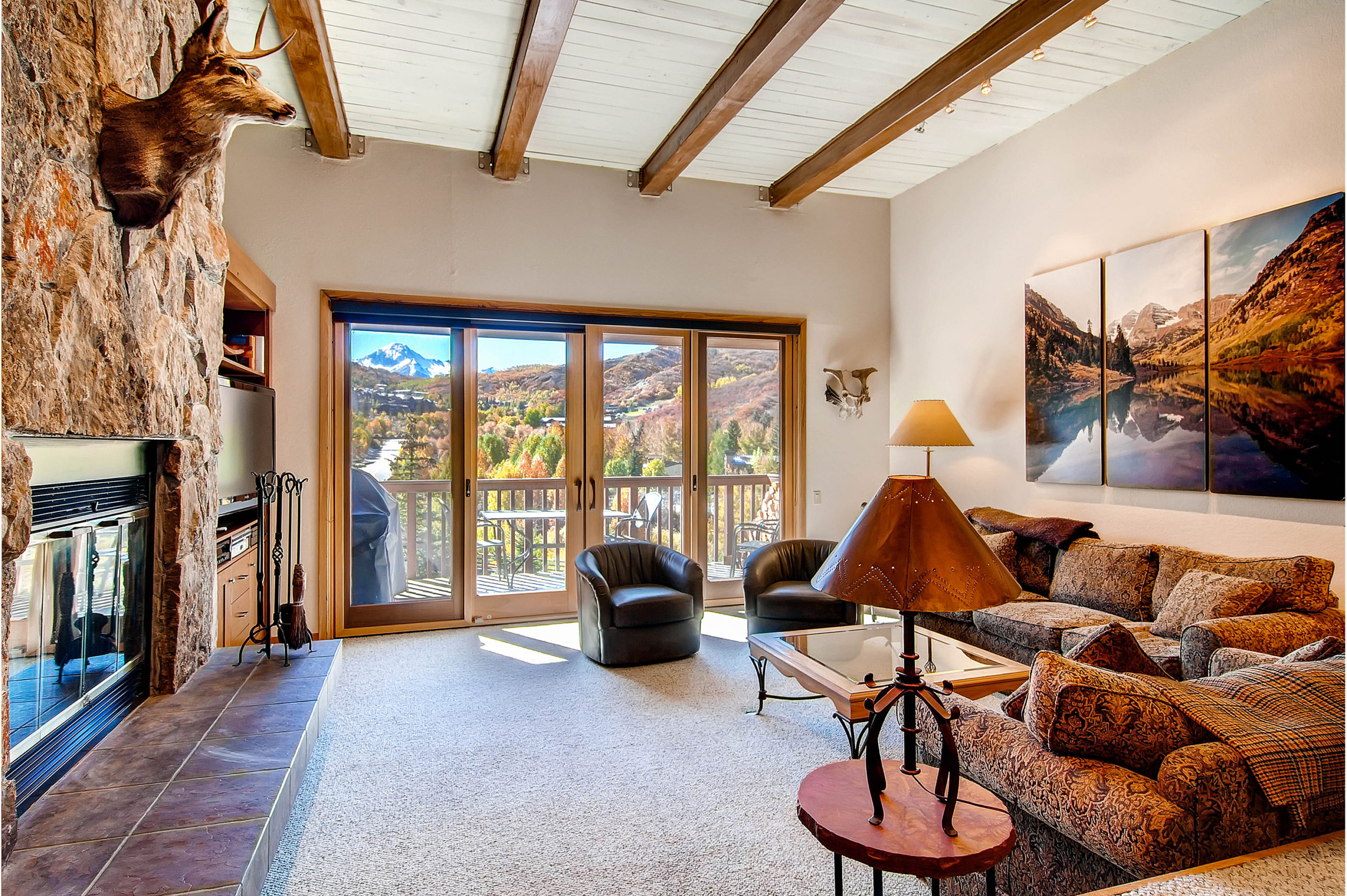 Snowmass Condo 980492